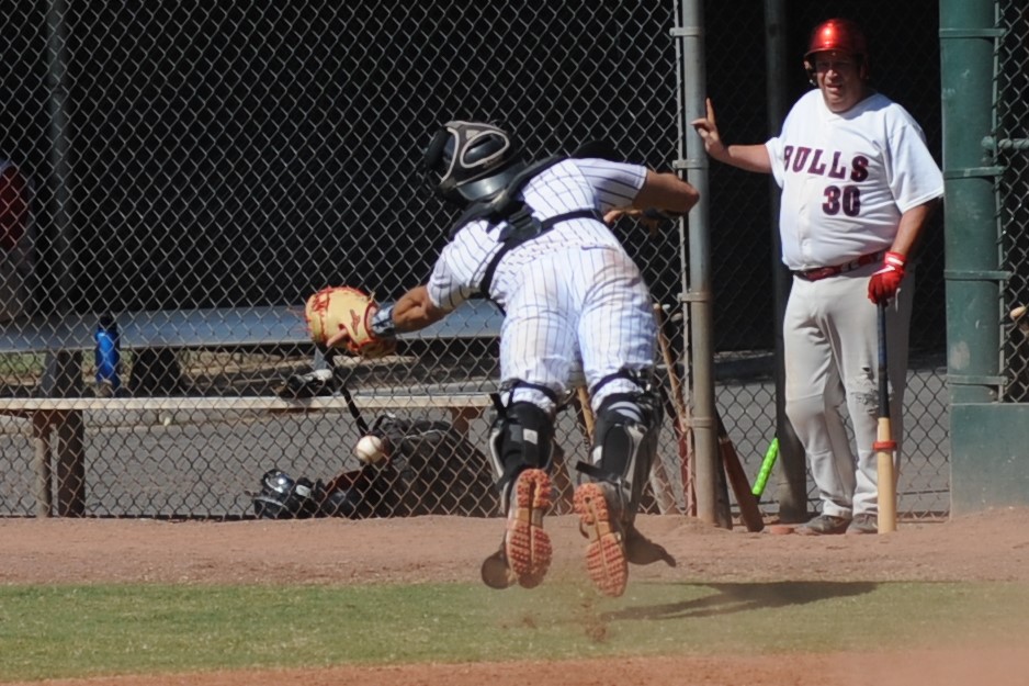 Seals_2019-10-09 (315).JPG - (c)2010 DeVetter